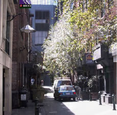 Eleven A - Accommodation Sunshine Coast 2