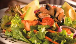 Hogs Breath Cafe - Accommodation Sunshine Coast 3