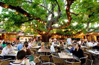 The Oaks - Accommodation Sunshine Coast 2