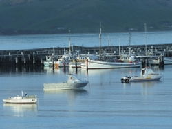 Apollo Bay VIC Accommodation Sunshine Coast