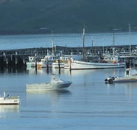 The Apollo Bay Hotel - Accommodation Sunshine Coast