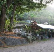 Ellis Beach Bar  Grill - Accommodation Sunshine Coast