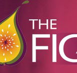 Wild Fig - Accommodation Sunshine Coast