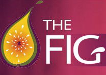 Wild Fig - Accommodation Sunshine Coast 0