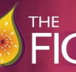 Naked Fig