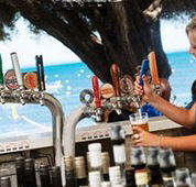 Quokka Arms - Accommodation Sunshine Coast
