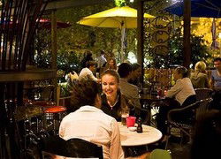 Treehouse Hotel - Accommodation Sunshine Coast 0