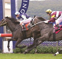 Gosford Race Club - Accommodation Sunshine Coast