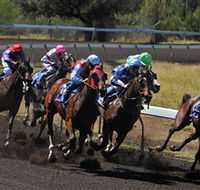 Alice Springs Turf Club - Accommodation Sunshine Coast
