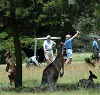 Glen Innes Golf Club - Accommodation Sunshine Coast