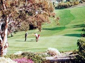 Victor Harbor Golf Club - Accommodation Sunshine Coast 1