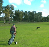 Coffin Bay Golf Club - Accommodation Sunshine Coast