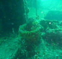 Wallaroo Scuba Club - Accommodation Sunshine Coast