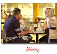 Steelers Club - Accommodation Sunshine Coast