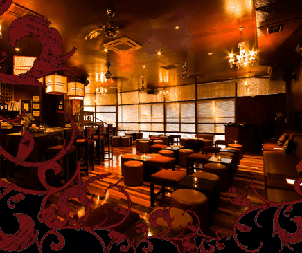 Hippo Lounge Bar - Accommodation Sunshine Coast
