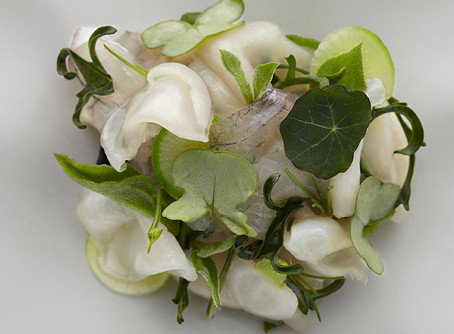 Quay - Accommodation Sunshine Coast 1