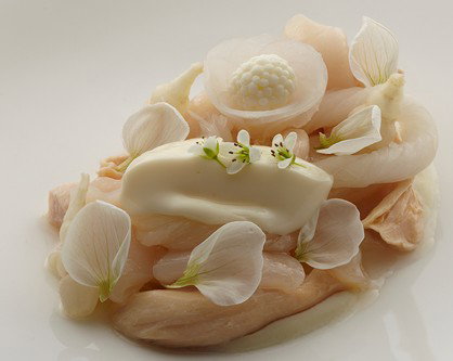 Quay - Accommodation Sunshine Coast 4