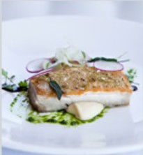 PJ's Irish Sports Bar & Bistro @ The Criterion Hotel - Accommodation Sunshine Coast 0