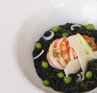 finefish - Accommodation Sunshine Coast