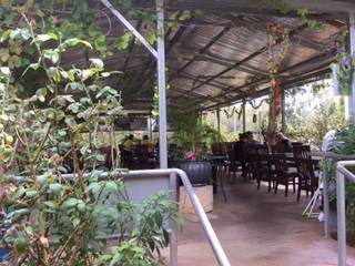 Alice Vietnamese Restaurant - Accommodation Sunshine Coast 4