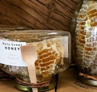 This Little Piggy Deli - Accommodation Sunshine Coast