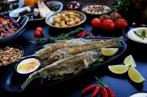 Zahli Modern Middle Eastern Restaurant - Accommodation Sunshine Coast 13