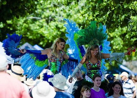 Family Fun Carnivale - Accommodation Sunshine Coast 0