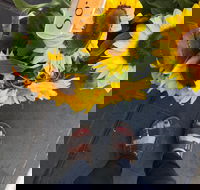 Friday Forage - Accommodation Sunshine Coast