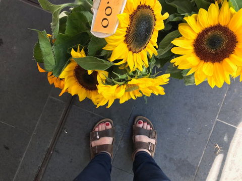 Friday Forage - Accommodation Sunshine Coast 0