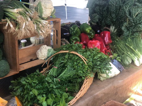 Friday Forage - Accommodation Sunshine Coast 1