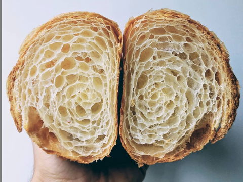 Friday Forage - Accommodation Sunshine Coast 2