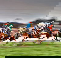 Grafton July Racing Carnival - Accommodation Sunshine Coast