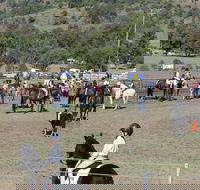 Gresford Agricultural Show - Accommodation Sunshine Coast
