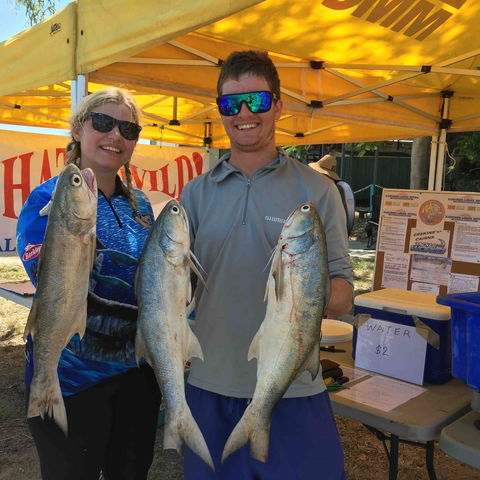 Karumba Anglers Classic - Accommodation Sunshine Coast 1