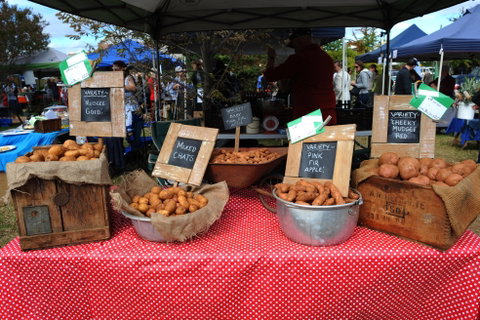 Lawson Park Markets - Accommodation Sunshine Coast 0