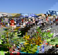Maclean Community Monthly Markets - Accommodation Sunshine Coast
