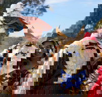 Newbridge Winter Solstice Festival - Accommodation Sunshine Coast