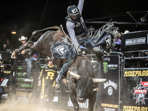 PBR Hawkesbury Stampede - Accommodation Sunshine Coast 0