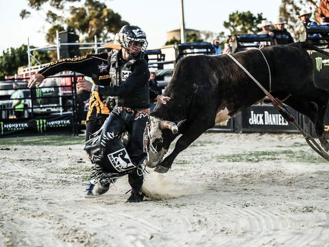 PBR Hawkesbury Stampede - Accommodation Sunshine Coast 2