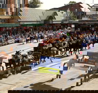 Scone Horse Festival - Accommodation Sunshine Coast