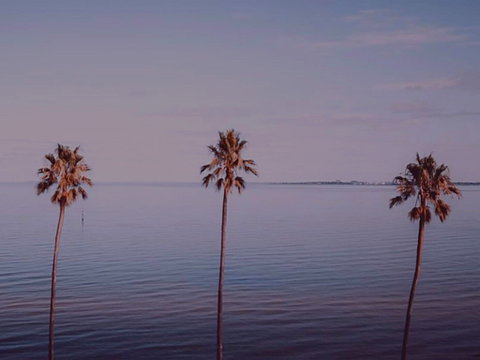 Sunset Streaming Live DJ Streams - Accommodation Sunshine Coast 0