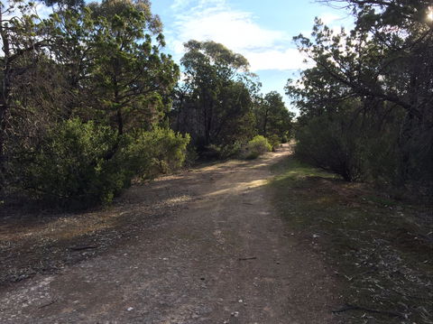 Victoria Park Moonta Monthly Walks - Accommodation Sunshine Coast 0