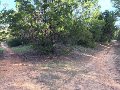 Victoria Park Moonta Monthly Walks - Accommodation Sunshine Coast 1