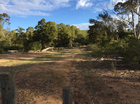Victoria Park Moonta Monthly Walks - Accommodation Sunshine Coast 2