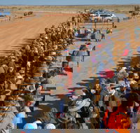 28th Marree Australasian CAMEL CUP 3 July 2021 - Accommodation Sunshine Coast