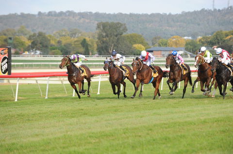 Aggies Race Day - Accommodation Sunshine Coast 0