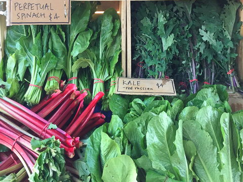 Albury Wodonga Farmers Market - Accommodation Sunshine Coast 0