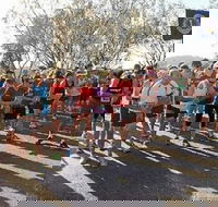 Ballina Lions Fun-Run-Walk - Accommodation Sunshine Coast
