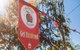 Batlow CiderFest - thumb 1