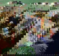 Blackheath Rhododendron Art Show - Accommodation Sunshine Coast